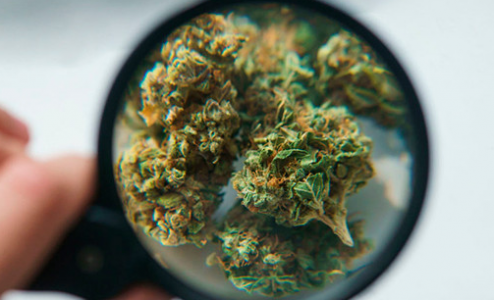 1679237386392.png 1679237386392.png