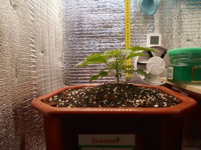 DSCN0463.JPG DSCN0463.JPG