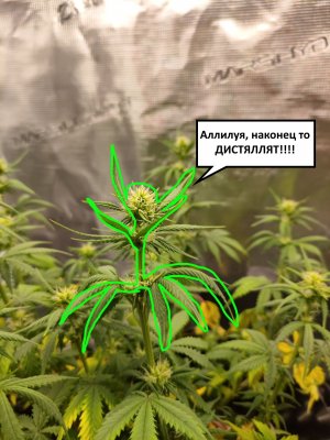 xAFuVptYm1Q.jpg xAFuVptYm1Q.jpg