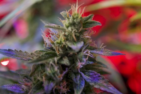 DSC04656.jpeg DSC04656.jpeg