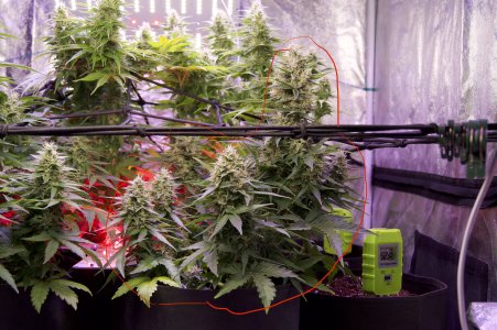 DSC04657.jpeg DSC04657.jpeg