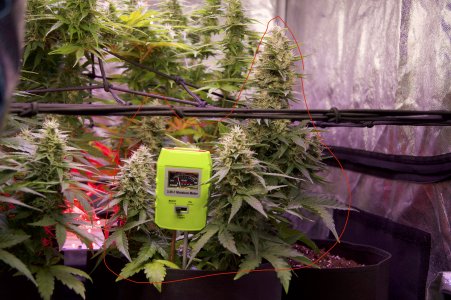 DSC04658.jpeg DSC04658.jpeg