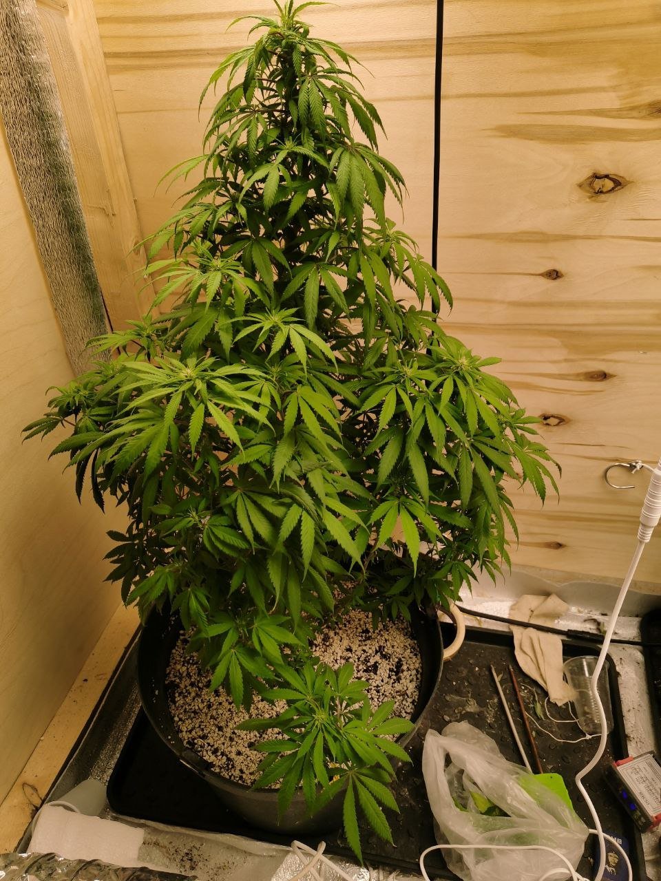 105 — копия.jpg