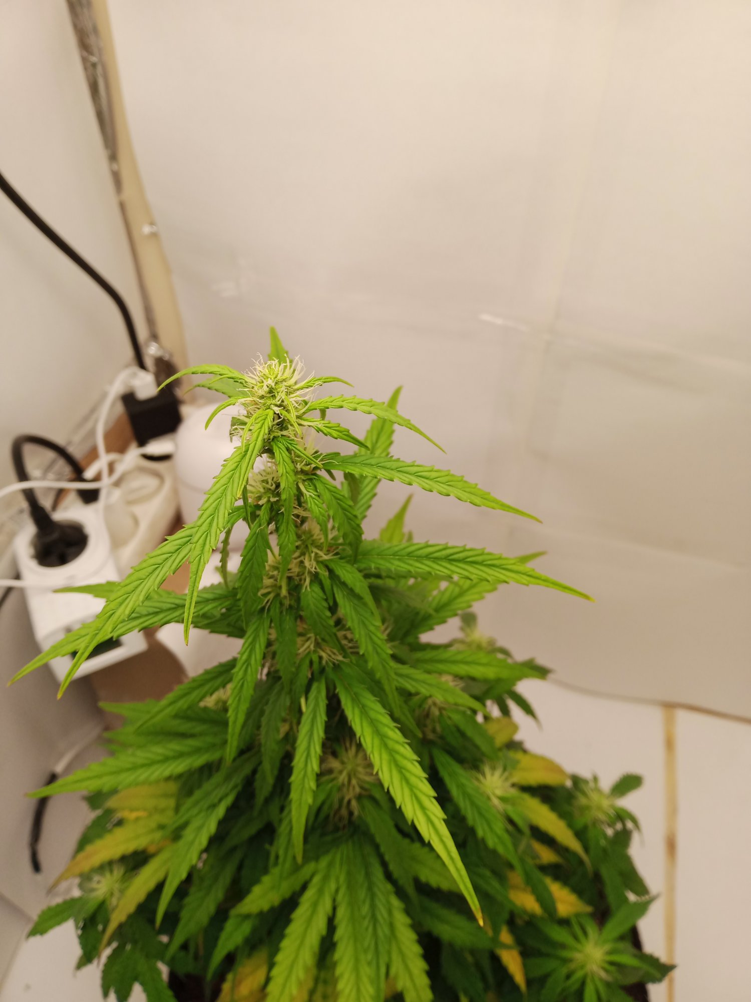 день 46 2.jpg день 46 2.jpg