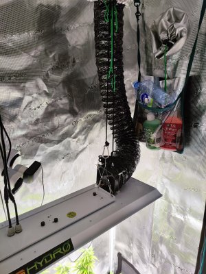 MVIMG_20230331_203713.jpg MVIMG_20230331_203713.jpg