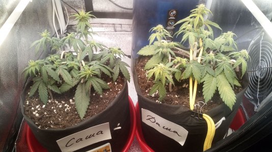 02.04.23 (1).jpg 02.04.23 (1).jpg