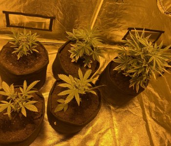 IMG_5712.JPG IMG_5712.JPG