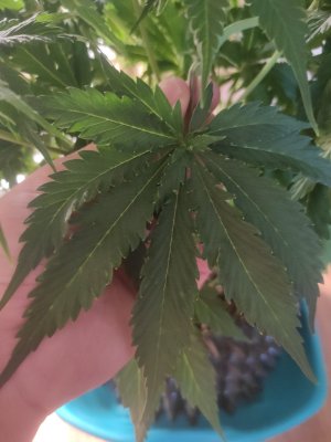 2023-04-03-16-29-24-384.jpg 2023-04-03-16-29-24-384.jpg