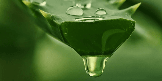 1680520205620.png 1680520205620.png