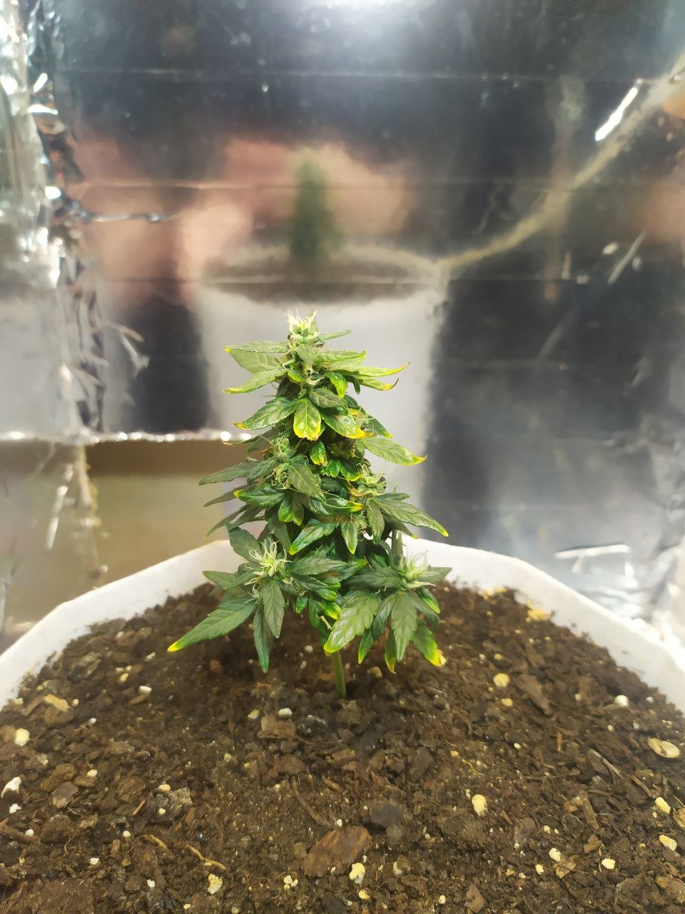 photo_2023-04-06_15-14-17 (4).jpg