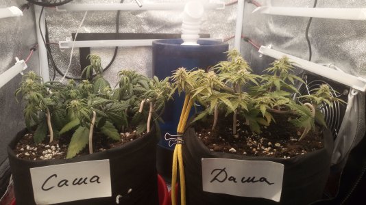 08.04.23 (1).jpg 08.04.23 (1).jpg