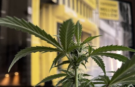 DA44AB10-1A7E-4B33-B3D5-7A2016B727FF.jpeg DA44AB10-1A7E-4B33-B3D5-7A2016B727FF.jpeg