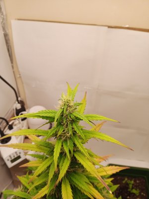 день 54 3.jpg день 54 3.jpg