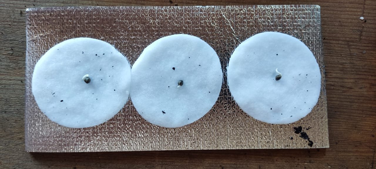 a4b2c84d-0d63-4fe8-a65e-6688b75cc9a5.jpg a4b2c84d-0d63-4fe8-a65e-6688b75cc9a5.jpg