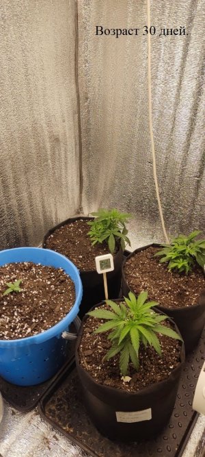 28c2a019-c91b-4b1b-ab8c-6167fccdf199.jpg 28c2a019-c91b-4b1b-ab8c-6167fccdf199.jpg