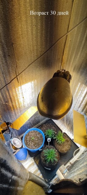 59c9481b-8739-494f-a684-0c1b19fdc845.jpg 59c9481b-8739-494f-a684-0c1b19fdc845.jpg