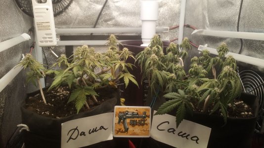 12.04.23 (1).jpg 12.04.23 (1).jpg