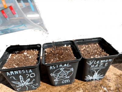 Без имени-2.png