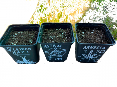 Без имени-2.png