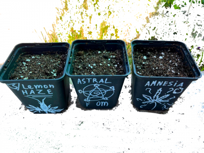 Без имени-2.png