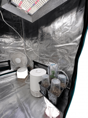 Без имени-3.png Без имени-3.png