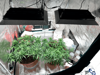 Без имени-4.png Без имени-4.png