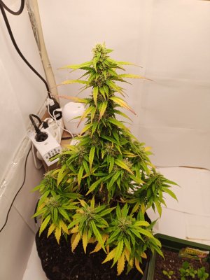 день 58 1.jpg день 58 1.jpg