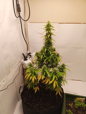 день 58 2.jpg день 58 2.jpg