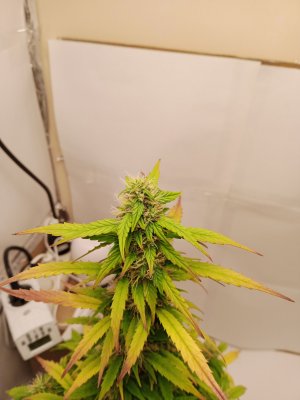 день 58 3.jpg день 58 3.jpg