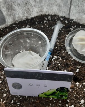 20230413_141726.jpg 20230413_141726.jpg