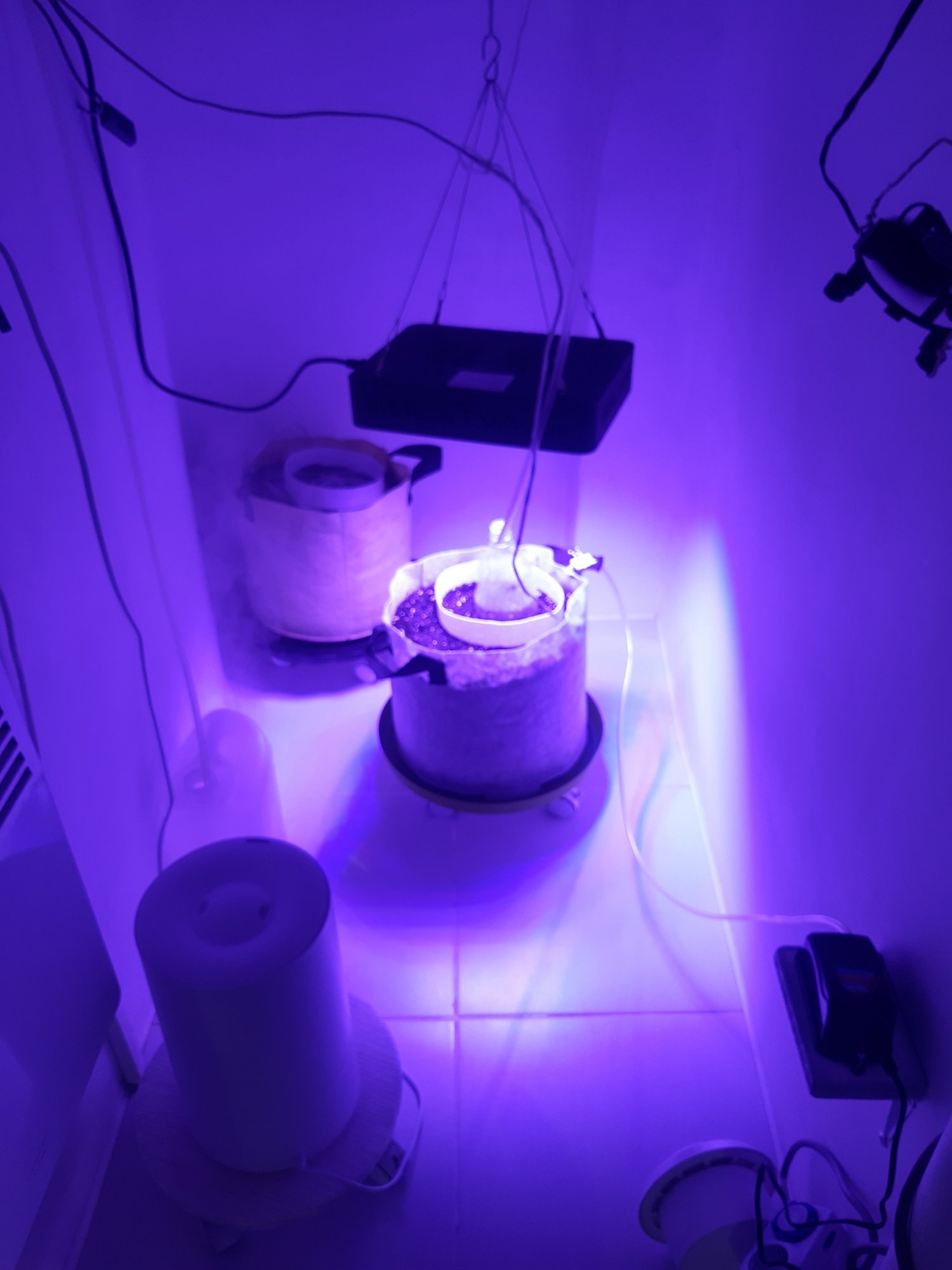 20230413_190148.jpg 20230413_190148.jpg