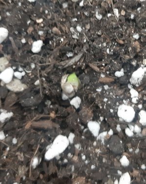 20230413_191350.jpg 20230413_191350.jpg