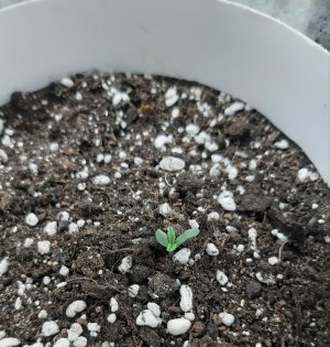 20230414_102622.jpg 20230414_102622.jpg