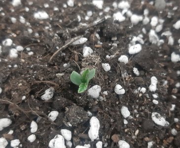 20230414_104031.jpg 20230414_104031.jpg