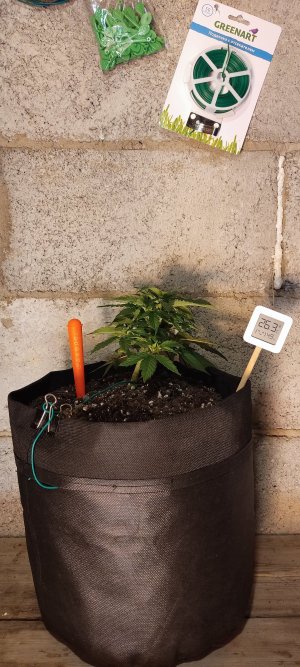 IMG_20230413_202428.jpg IMG_20230413_202428.jpg