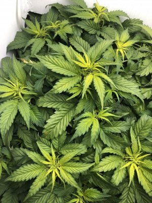 IMG_4026.JPG IMG_4026.JPG