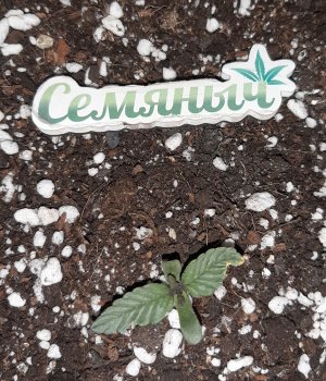 20230414_182417.jpg 20230414_182417.jpg