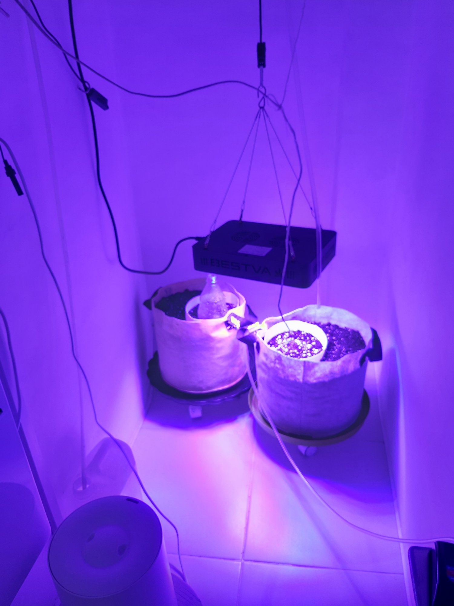 20230414_182238.jpg 20230414_182238.jpg