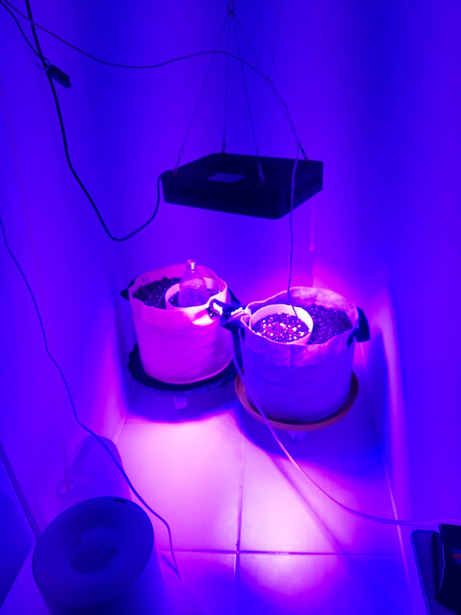 20230414_182222.jpg 20230414_182222.jpg