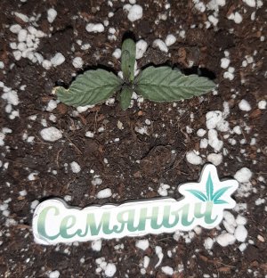 20230414_184530.jpg 20230414_184530.jpg