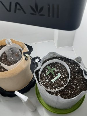 20230415_110357.jpg 20230415_110357.jpg