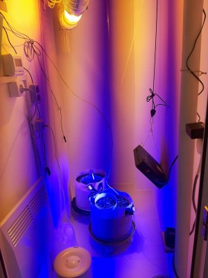 20230415_112653.jpg 20230415_112653.jpg