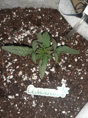 20230415_164854.jpg 20230415_164854.jpg