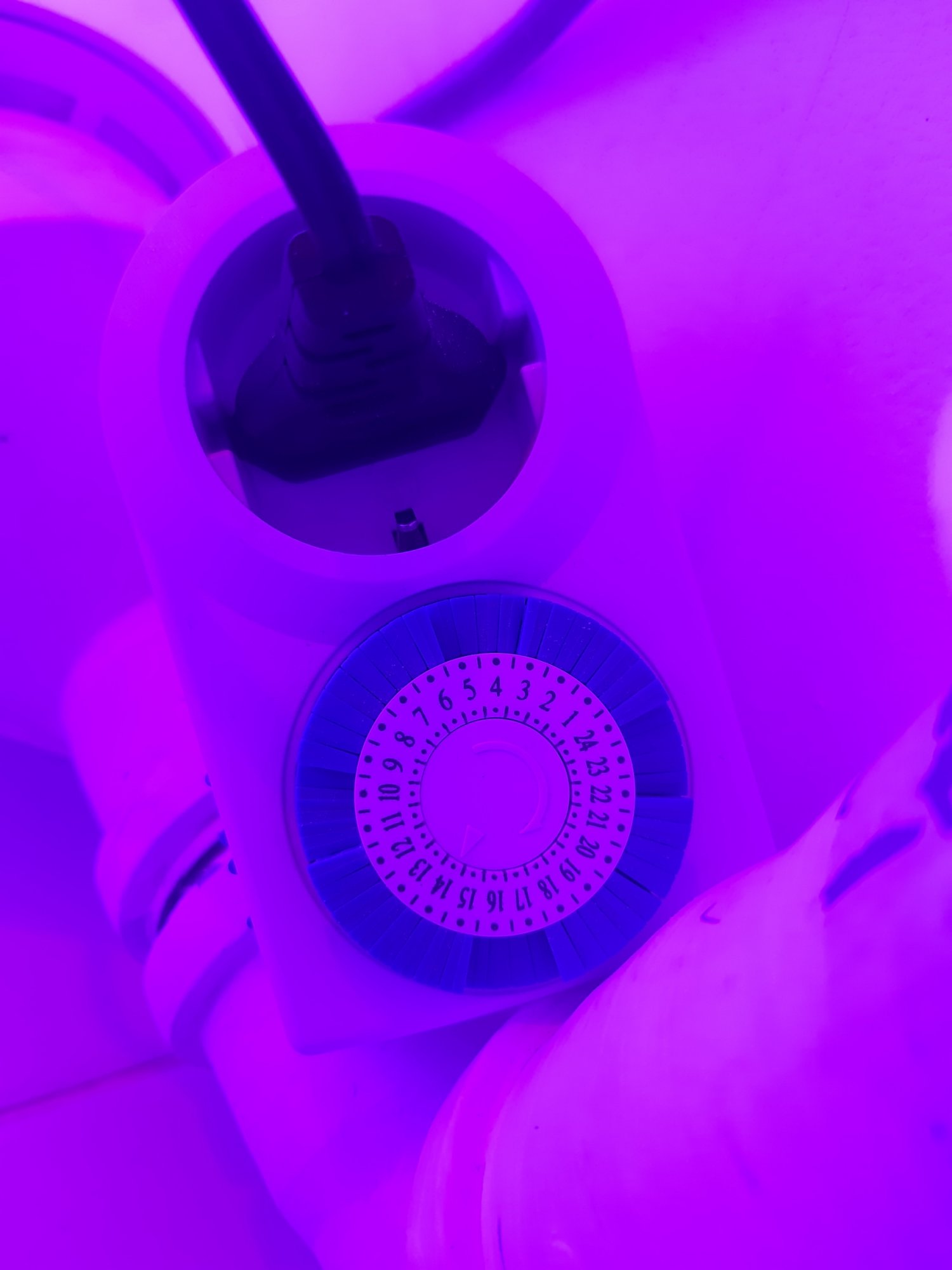 20230415_164754.jpg 20230415_164754.jpg