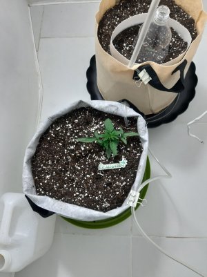 20230415_170920.jpg 20230415_170920.jpg