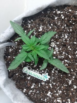 20230415_170907.jpg 20230415_170907.jpg