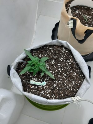 20230416_075954.jpg 20230416_075954.jpg