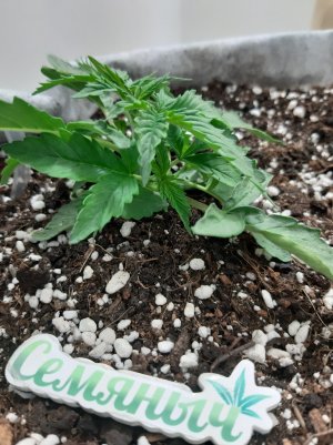 20230416_080009.jpg 20230416_080009.jpg