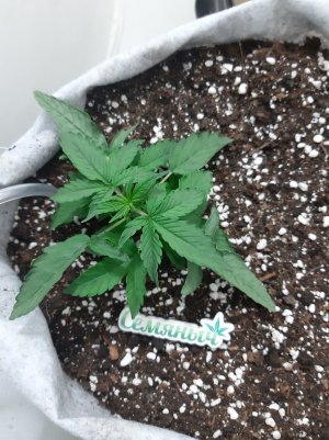 20230416_080807.jpg 20230416_080807.jpg