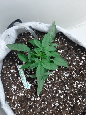 20230416_080742.jpg 20230416_080742.jpg